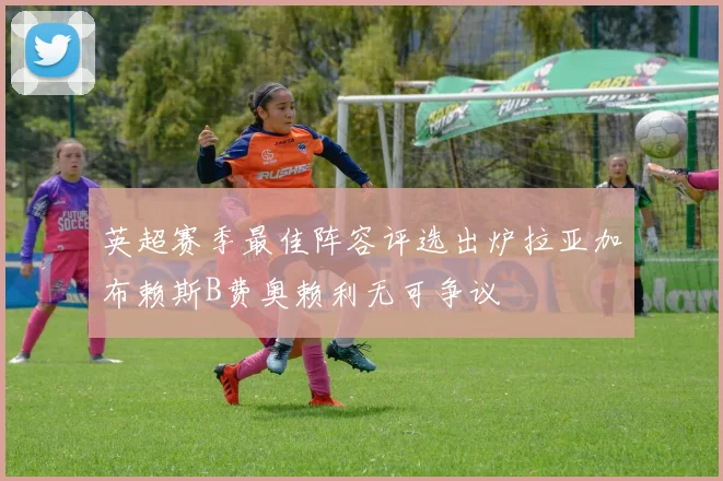 英超赛季最佳阵容评选出炉拉亚加布赖斯B费奥赖利无可争议
